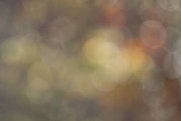 Bokeh Background