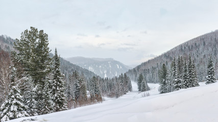 Fototapeta na wymiar Panorama winter landscape.