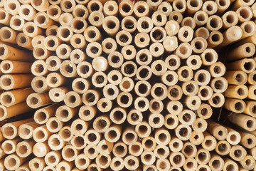 Background of cylindrical timber stacked