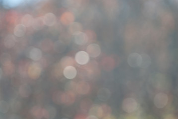 Bokeh Background