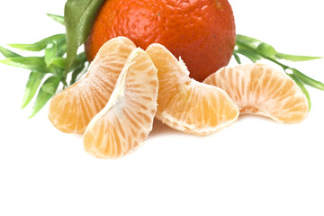 Mandarin or Tangerine fruit with leaves on a white background