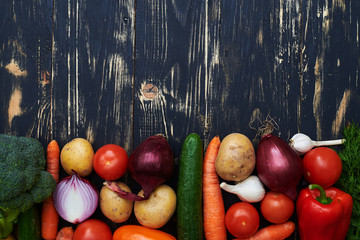 A variety of succulent vegetables arranging in order with a copy