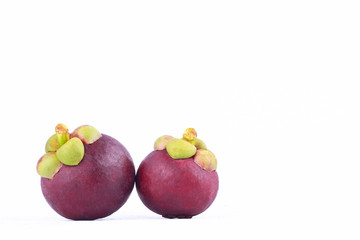  mangosteen queen of fruits (Garcinia mangostana Linn) on white background healthy purple mangosteen fruit food isolated 
