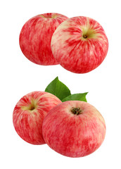 Red striped apples, isolated on white background.