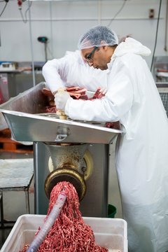 Butchers placing meat in mincing machine