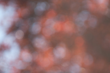 Bokeh Background