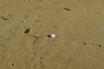 Snowy beach and sea at winter with blue sky