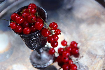 A Banch of red currant in a small metallic glass