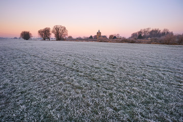 Obraz premium grass with frost in morning light