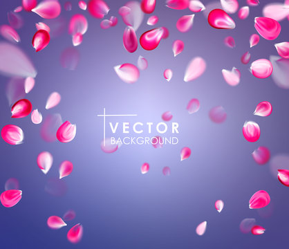 Falling Pink Petals. Vector Illustration