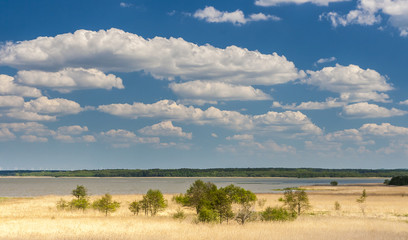 Beautiful view of the lake Łebsko