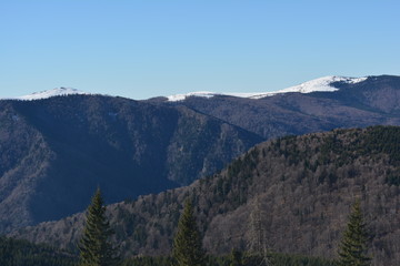 Obraz premium Wilderness