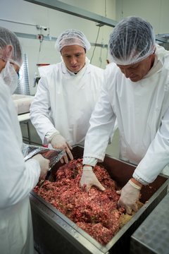 Butchers mixing minced meat in meat factory