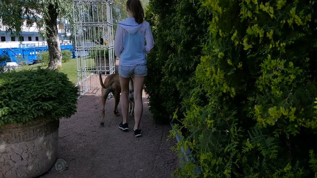 Cute girl walking with two dogs near water in park