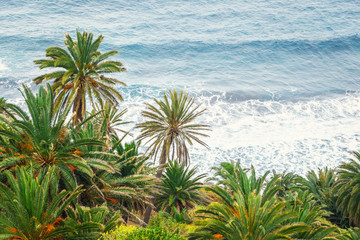 view of green tropical palms by the sea