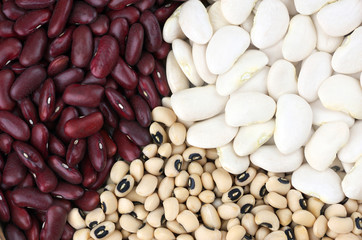 Dried beans
