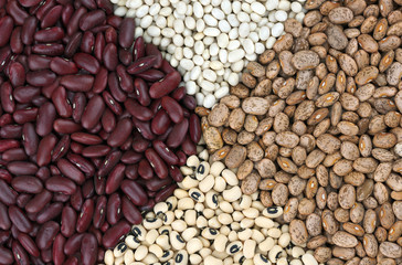 Dried beans