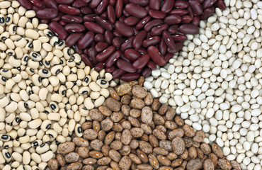 Dried beans