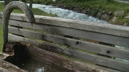 Torrente in bosco trentino