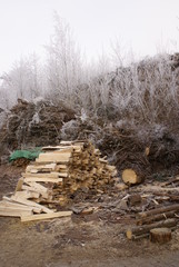 Holz machen © Lichtbildnerin