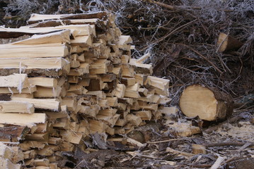 Holz machen © Lichtbildnerin