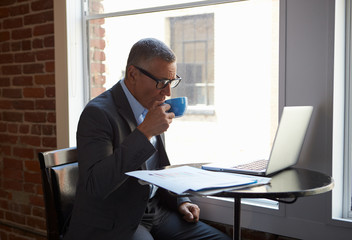 Mature Businessman Working On Laptop By Office Window