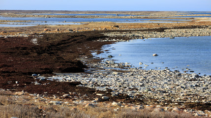 Die Küste der Hudson Bay