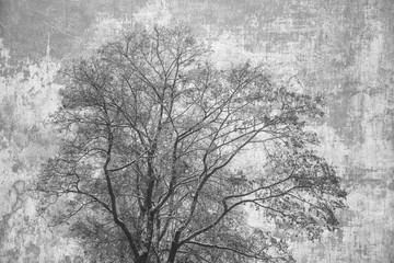 Sylwetki korona drzewo na abstrakcjonistycznym szarym tle. Podwójna ekspozycja drewna i szorstkiej powierzchni betonu - 132141447