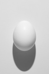 White egg with shadow