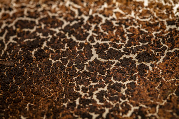 Color picture of dried coffee grounds on a iron kettle, close-up