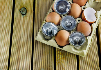 The concept of energy, halogen lamps (energy saving light bulbs),  eggs and eggshell in  the egg...