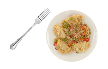 Vegetarian potstickers meal with a fork to the side isolated on a white background.
