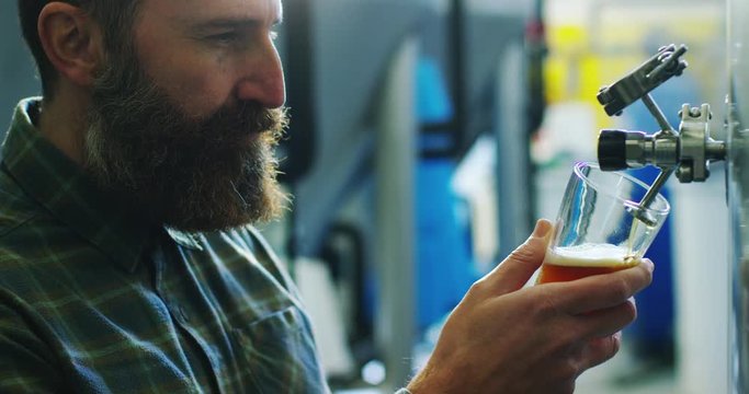 a brewmaster expert checks the quality of the freshly tapped beer from wooden barrels formerly used for flavour the wine or beer.