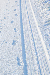 tracks in the snow