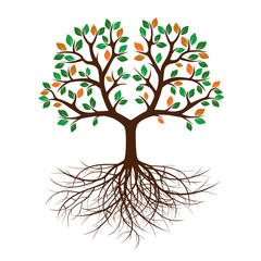 Fototapeta premium Drzewo kolorów i korzenie. Ilustracji wektorowych.