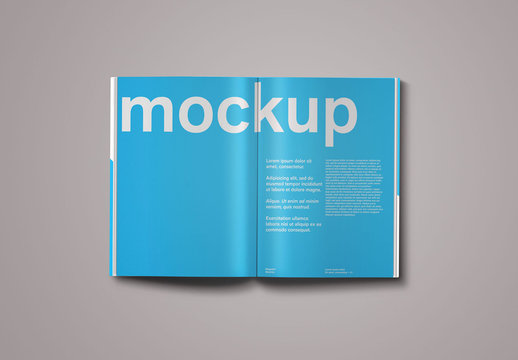 Magazine / Editorial / Brochure / Spread Mockup