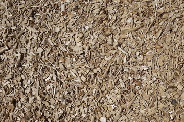 Holzspäne 2