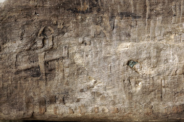Part of the old worm-eaten wood