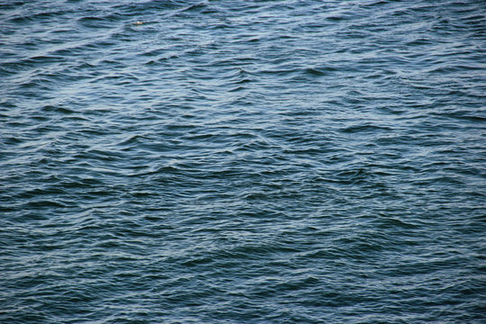 marea baja