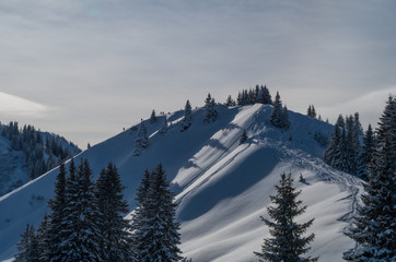 Ski touring track in beautiful sunny winter landscape, Oberstdorf, Germany