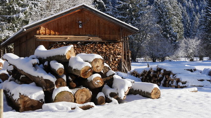 Firewood and forest and snow

