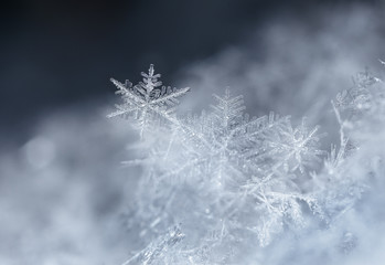 natural snowflakes, photo real snowflakes during a snowfall, under natural conditions at low temperature