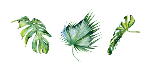 Watercolor illustration of tropical leaves, dense jungle. Hand painted. Banner with tropic summertime motif may be used as background texture, wrapping paper, textile or wallpaper interior design