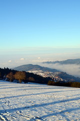 Blick auf Horben im Schwarzwald