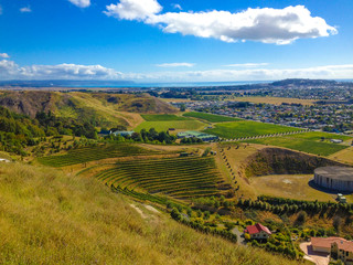 Fototapeta na wymiar View from Te Mata Hills, Hawkes Bay, New Zealand
