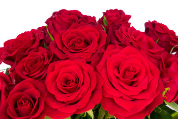 Bouquet of dark red rose buds close up border isolated on white background