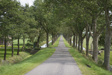 Rural Road, Northern Holland