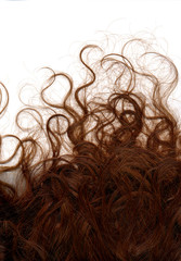 Capelli Rossi