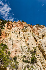 Viewpoint of Zion National Park cliff from Observation point tra