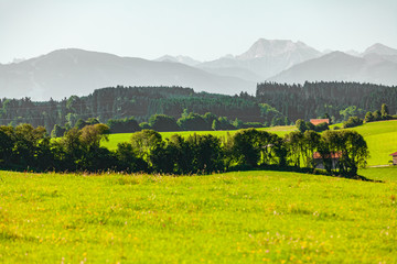view of a meadow in allgau